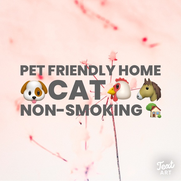 Women’s flats business casual sz 9 - Picture 11 of 11